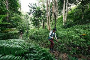 BIB: 
                            <button type="button" onclick="openModal(26408699)" class="btn btn-primary btn-sm float-right btn-popup" data-toggle="modal" data-target=".modal-high-quality">
                        <i class="fas fa-shopping-cart"></i> Add to Cart
                    </button>
                                            <button type="button" onclick="isThisMe(26408699, true)" class="btn btn-success btn-sm float-right btn-popup btn-isme hidden" data-toggle="tooltip" data-placement="bottom" title="นี่คือรูปของคุณใช่ไหม คลิกที่นี่เพื่อเอาเข้าอัลบั้ม">
                        <i class="fas fa-plus"></i> Add to album
                    </button>
                    <button type="button" onclick="isThisMe(26408699, false)" class="btn btn-warning btn-sm float-right btn-popup btn-isnotme hidden">
                        <i class="fas fa-ban"></i> Remove from album
                    </button>